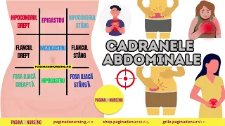 Cadranele abdominale