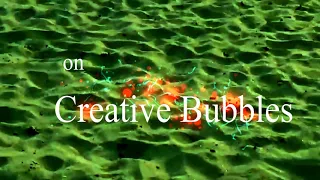 Intro by Creative Bubbles