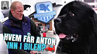 Hvem får Norges lateste hund inn i bilen?