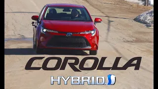 SO FUEL-EFFICIENT!! | 2021 Toyota Corolla Hybrid Review