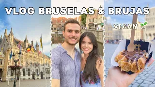 VLOG BRUSELAS Y BRUJAS la ciudad más bonita 😍 + Airbnb TOUR + COMIDA VEGAN 🌱🤍