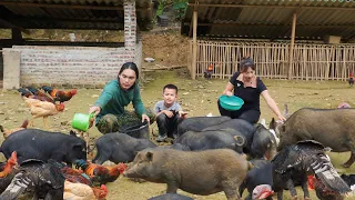 Taking care of animals on the farm, taking care of the vegetable garden, life in the wild