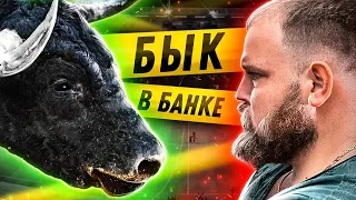 ТУШЕНКА ЗА 20 РУБЛЕЙ/ готовим пасту