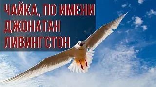 Чайка по имени Джонатан Ливингстон - краткое содержание