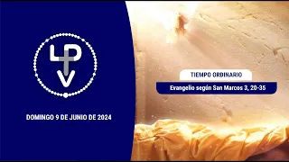 Evangelio del día domingo 9 de junio de 2024, Cardenal Daniel Sturla (Arzobispo de Montevideo)