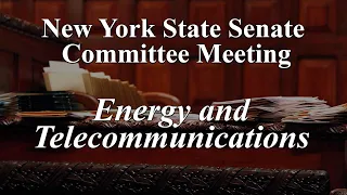 Senate Standing Committee on Energy and Telecommunications - 03/12/19