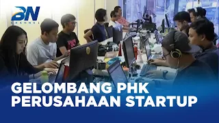 Gelombang PHK di Startup Disebut Proses Pendewasaan