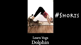 Learn Dolphin Pose Yoga #shorts