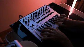 KORG Monologue (should have bought one a long time ago)