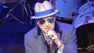 Van Morrison - I Wish I Was An Apple On A Tree (live) - 4K