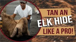 How To Tan an Elk - DIY Hide Fleshing and Tanning