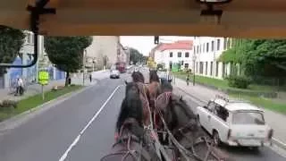 # Kutscher Mattu Brauereipferde im Straßenverkehr ( mit Siltecgeschirren )