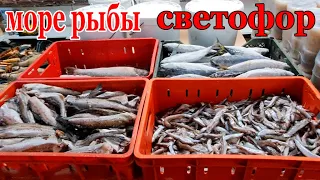 Магазин СВЕТОФОР.Вот это Да.Море свежей Рыбы Низкой цене.Май 2024