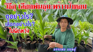 วิธีดู! เลือกพันธ์มะพร้าวน้ำหอม | มะพร้าวน้ำหอม | เกษตรผสมผสาน | บ่าวยุทธพาจ้วด