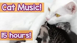 15 HOURS! Music For Cats! Help Your Depressed Cat. The BEST Way To Cheer up Your Depressed Cat!