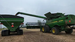 How to Rehydrate Soybeans 🌧 - #518