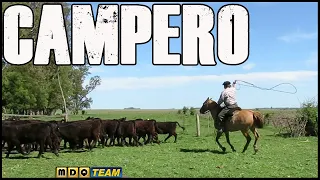 Asi se aprende en el CAMPO - ENLAZAR