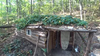 „Abenteuer in der Wildnis: Übernachtung in einer Blockhütte mit meinem Hundebegleiter“