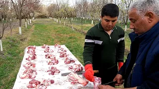 21 03 23 1ci h.Elvin qardaş.Uca Allah övladını qorusun🤲 Allah qəbul etsin qurbanınızı🐏🤲