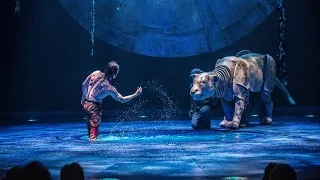 Behind the scenes at Cirque du Soleil's Luzia