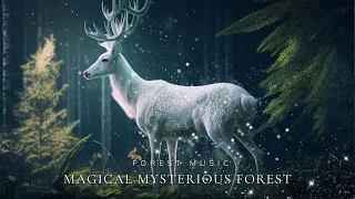 Magical Mysterious Forest | Calming The Mind, Soaring, Soothing with Flute Magical Sound