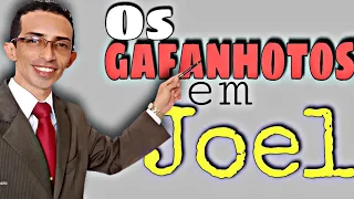 O LIVRO DE JOEL | BÍBLIA DE FATO Profeta Joel estudo Bíblico