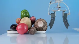 Soft robotic gripper for food industry automation