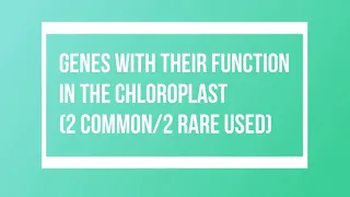 Test 2: Chloroplast genetic marker (lecture video)