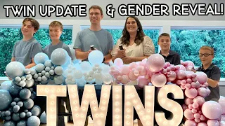 TWIN Update & Gender Reveal | This Alaska Life