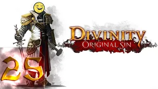 Divinity: Original Sin Enhanced Edition - Тактический первый раз - Прохождение #25