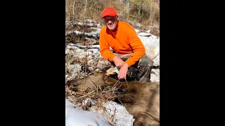 Elk Hunting - Complete DIY on Public Land, 2023