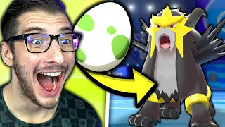 15 Random Eggs To Build a Team In Pokemon Sword & Shield, Then We Battle!