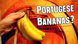 Bananas Grow In PORTUGAL (Madeiran Bananas) - Weird Fruit Explorer