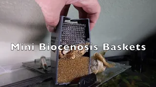 Mini BCB - making small biocenosis baskets