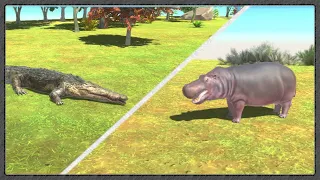 Crocodile Vs. Hippo