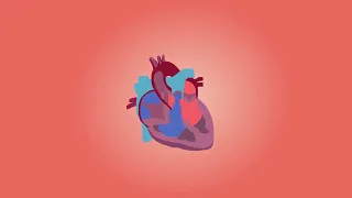 ¿Cómo Funciona el Sistema Circulatorio y Linfático?