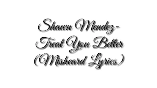 SHAWN MENDEZ-TREAT YOU BETTER(Misheard Lyrics)