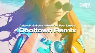 Adam K & Soha - Need To Feel Loved (Cooltown Remix)