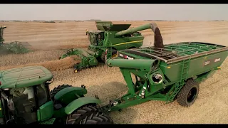 Canola Harvest in Saskatchewan Canada by FlyingPhotos.ca