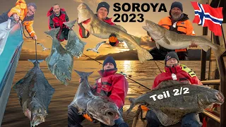 Angeln in Norwegen 2023 - Extremes Soroya Teil 2/2