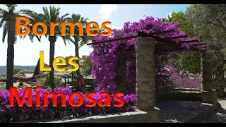 BORMES-LES-MIMOSAS - L'ivresse des couleurs 4K