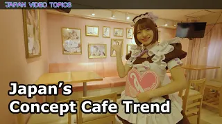 Japan’s Concept Cafe Trend