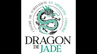 Présentation de l'Ecole du Dragon de Jade