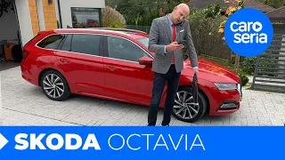 Skoda Octavia, czyli czeski błąd lepszy od niemieckiej perfekcji [TEST PL] | CaroSeria