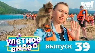 Улетное видео | Выпуск 39