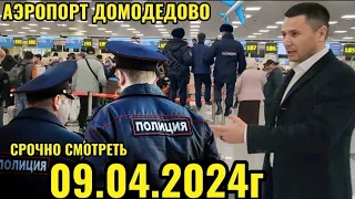 АЭРОПОРТ ДОМОДЕДОВО ПРОВЕРКА ХАСТ ЁКИ НЕСТ🤷🏽‍♂️ СРОЧНО СМОТРЕТЬ ✈️✈️🤝👍🙏