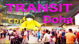 【Airport Tour】 How to Transit at Qatar  Doha Hamad International Airport