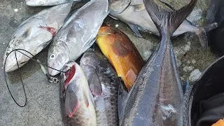 Pesca submarina III 2023 Ilha de São Miguel Açores