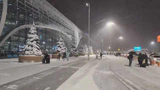 Лечу в Тель-Авив. Часть 1:  Вылет из Домодедово.