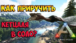 КАК ПРИРУЧИТЬ КЕТЦАЛЯ В СОЛО?/КАК УСЫПИТЬ КЕТЦАЛЯ В ОДИНОЧКУ? ► Ark: Survival Evolved #6